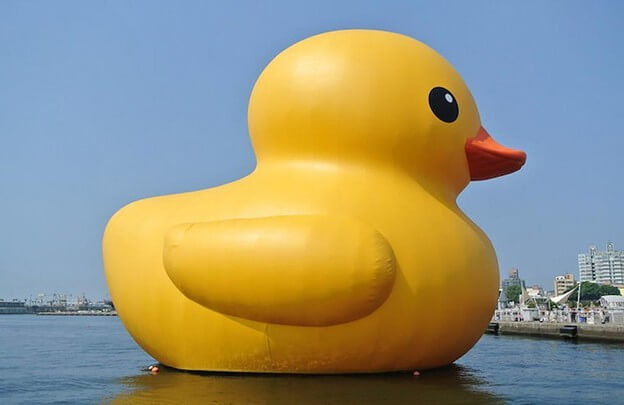 Giant Duck Inflatables