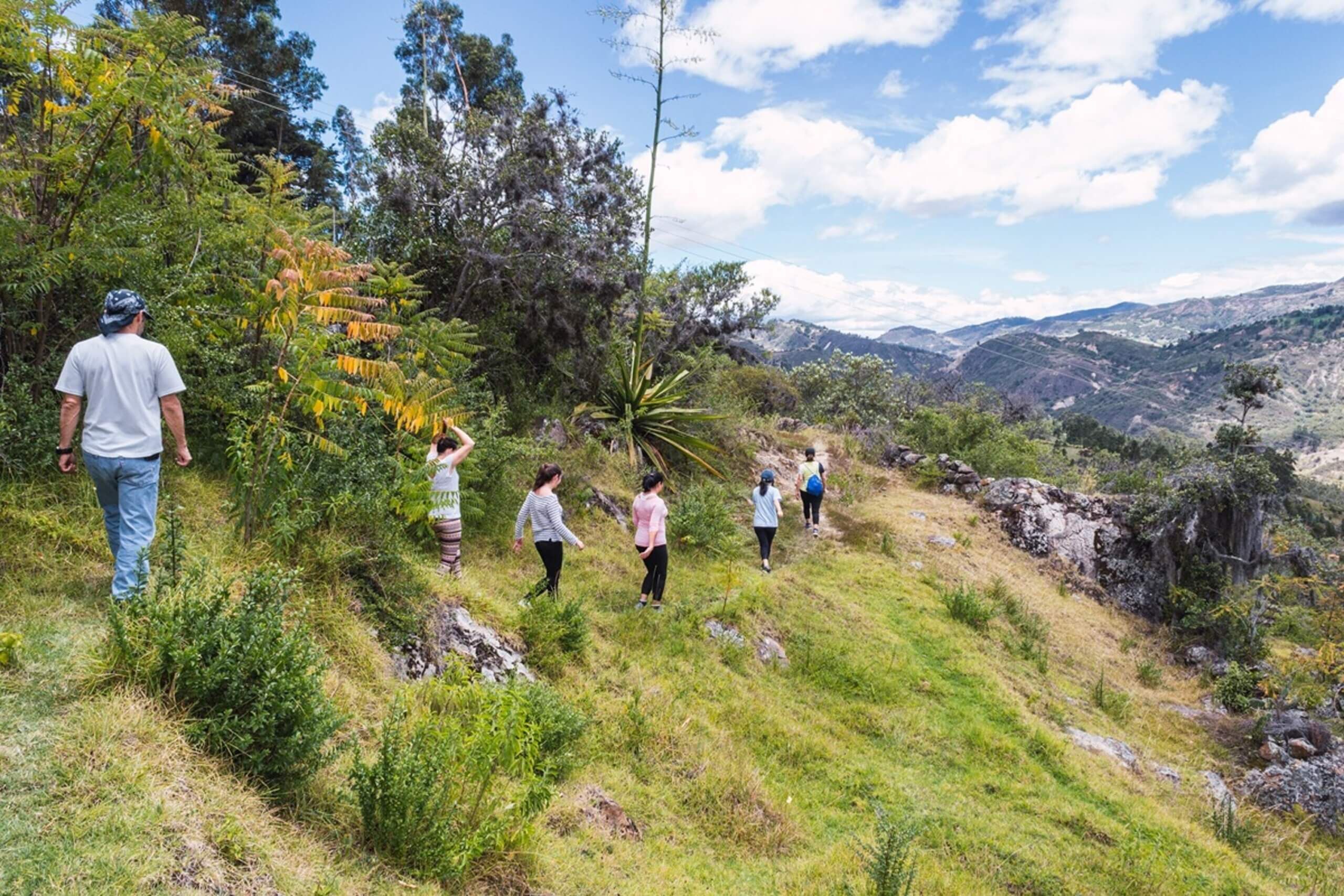 private yarra valley tour