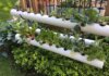 Get The New Ideas for Perfect Hydroponic Garden for Healthy Garden