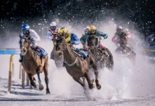 Australian Horse Racing Tips For Today: How It Will Help You Win? Australian Horse Racing Tips For Today