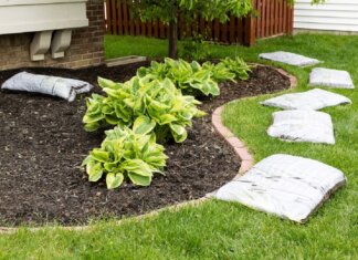 Here Are Some Amazing Benefits Of Landscaping Landscaping-Mentone