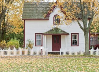 How to Take Care of Your Lawn This Fall? lawn