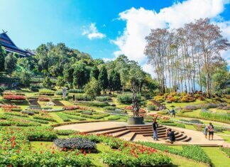 8 Finest Designing Ideas To Planning For Landscaping