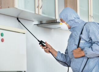 How Can We Select the Best and Reliable Termite Control Service Provider?