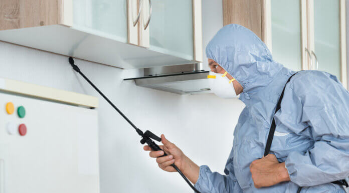 How Can We Select the Best and Reliable Termite Control Service Provider?