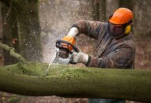 A Very Simple Yet Very Handy And Important Equipment – The Chainsaw Chainsaw