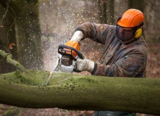 A Very Simple Yet Very Handy And Important Equipment – The Chainsaw Chainsaw