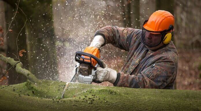 A Very Simple Yet Very Handy And Important Equipment – The Chainsaw Chainsaw