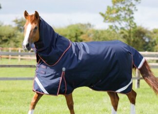 Benefits Of Buying Summer Horse Rugs For Sale Horse Rugs For Sale