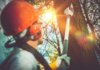 How Do You Choose the Best Tree Cutting Services? tree cutting