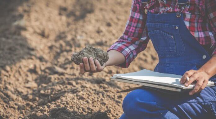 Why Geotechnical Engineering Is Important Before Developing A Construction? geotechnical engineering