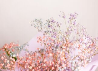 Why Are Dried Flowers So Popular? The Timeless Appeal of Preserved Botanicals Dried Flowers