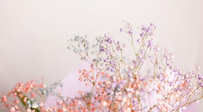 Why Are Dried Flowers So Popular? The Timeless Appeal of Preserved Botanicals Dried Flowers