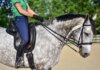The Importance of Choosing the Right Dressage Girth for Your Horse Dressage Girth