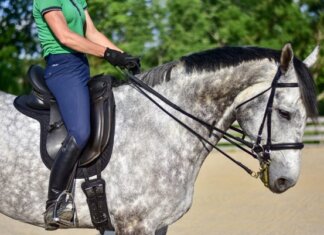 The Importance of Choosing the Right Dressage Girth for Your Horse Dressage Girth