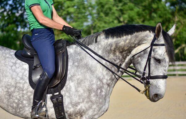 The Importance of Choosing the Right Dressage Girth for Your Horse Dressage Girth