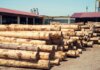 How to Choose a Reliable Timber Supplier for Your Home Project Reliable Timber Supplier