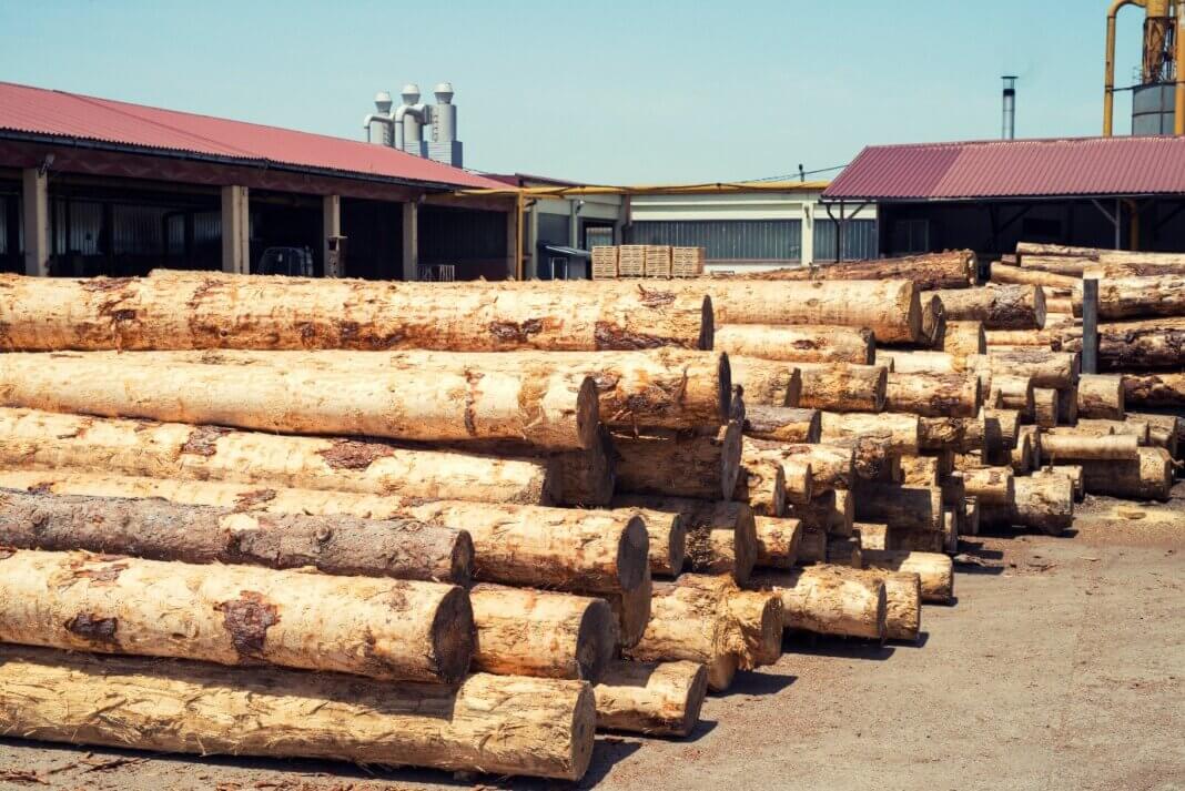 Reliable Timber Supplier