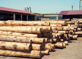 How to Choose a Reliable Timber Supplier for Your Home Project Reliable Timber Supplier