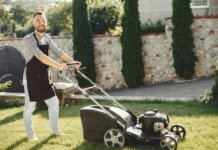 Green Garden Dreams: Sustainable Practices for Building an Eco-Friendly Landscape Eco-Friendly Landscape