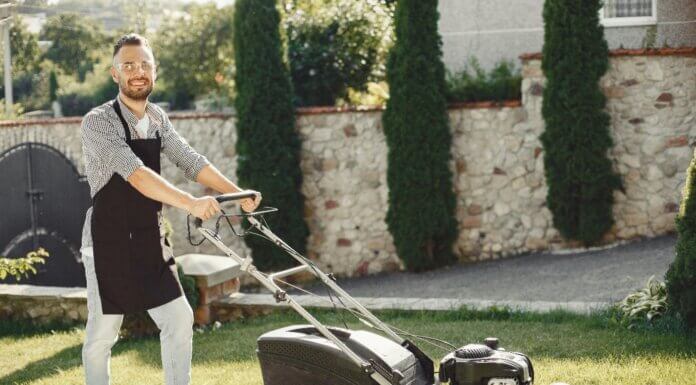 Green Garden Dreams: Sustainable Practices for Building an Eco-Friendly Landscape Eco-Friendly Landscape