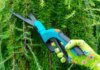 The Transformative Power of Tree Pruning: Enhancing Plant Health and Growth Tree Pruning