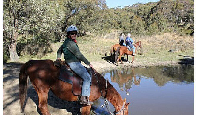 Healing Power of Horse Riding: Understanding Equine Therapy