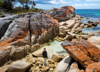 What You Need to Know Before Embarking on a Broome to Darwin Adventure Broome to Darwin