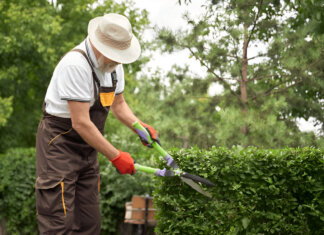 Top 7 Low-Maintenance Landscaping Ideas easy-care landscaping plants