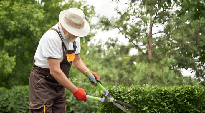 Top 7 Low-Maintenance Landscaping Ideas easy-care landscaping plants