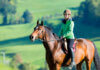 What Are The Physical And Psychological Advantages Of Horse Riding? horse_riding
