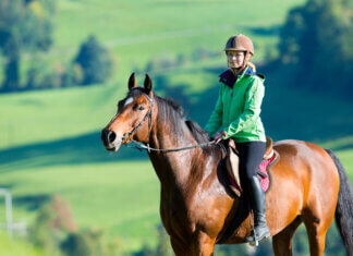 What Are The Physical And Psychological Advantages Of Horse Riding? horse_riding