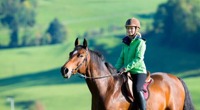 What Are The Physical And Psychological Advantages Of Horse Riding? horse_riding