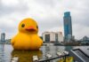 Giant Duck Inflatables: Fun, Functional, And Unforgettable for Brand Activations Giant Duck Inflatables