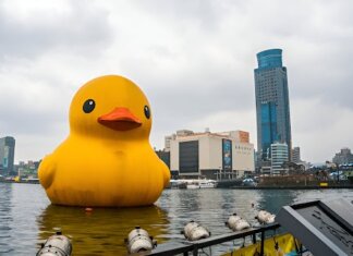Giant Duck Inflatables: Fun, Functional, And Unforgettable for Brand Activations Giant Duck Inflatables