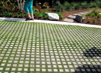 Embracing The Green Revolution: Unearthing The Environmental Benefits Of Permeable Pavers
