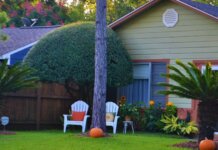 The Comprehensive Guide to Landscaping Excellence in Your Space