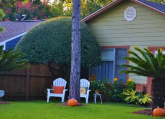 The Comprehensive Guide to Landscaping Excellence in Your Space