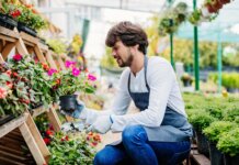 Gardener The Key to a Healthy and Beautiful Outdoor Space gardener officer