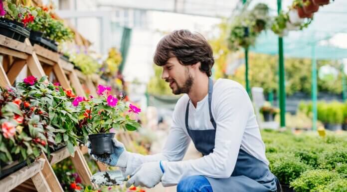 Gardener The Key to a Healthy and Beautiful Outdoor Space gardener officer