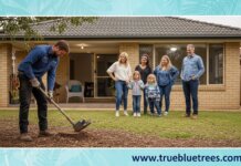 The Complete Guide to Tree Stump Removal: A Must-Read! Stump Removal