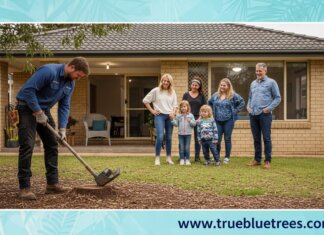 The Complete Guide to Tree Stump Removal: A Must-Read! Stump Removal