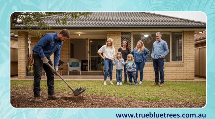 The Complete Guide to Tree Stump Removal: A Must-Read! Stump Removal