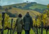 Discover the Benefits of Booking a Private Yarra Valley Tour private yarra valley tour